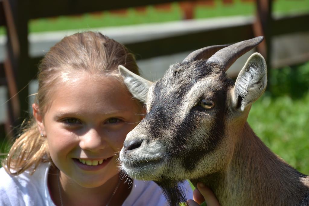 Feriendorf Ponyhof Fusch an der Großglocknerstraße Kültér fotó