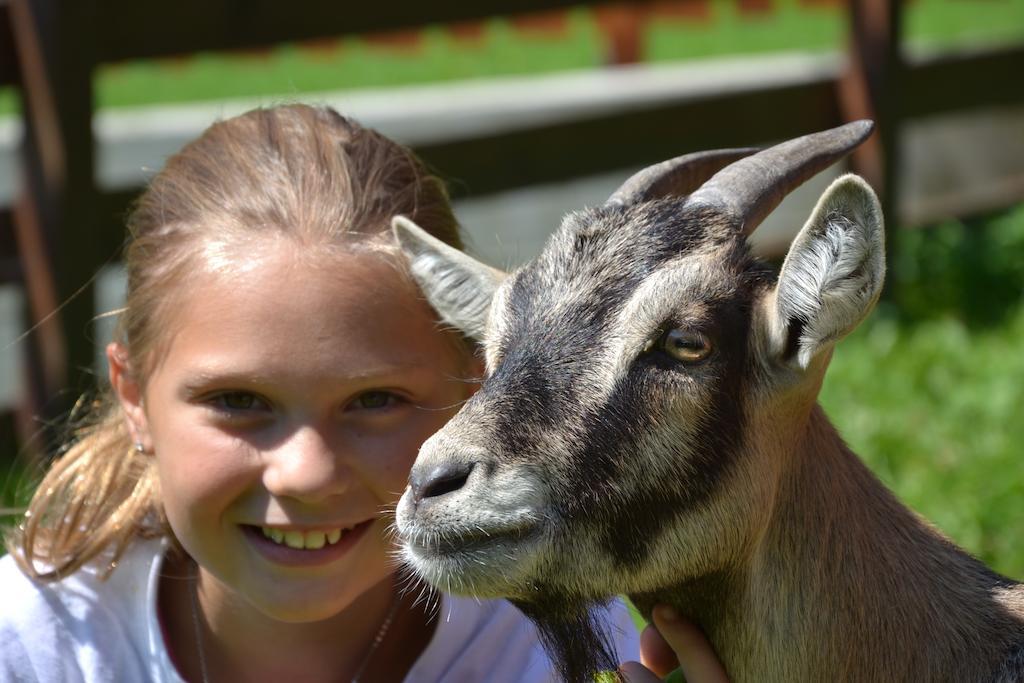 Feriendorf Ponyhof Hotel Fusch an der Großglocknerstraße Kültér fotó