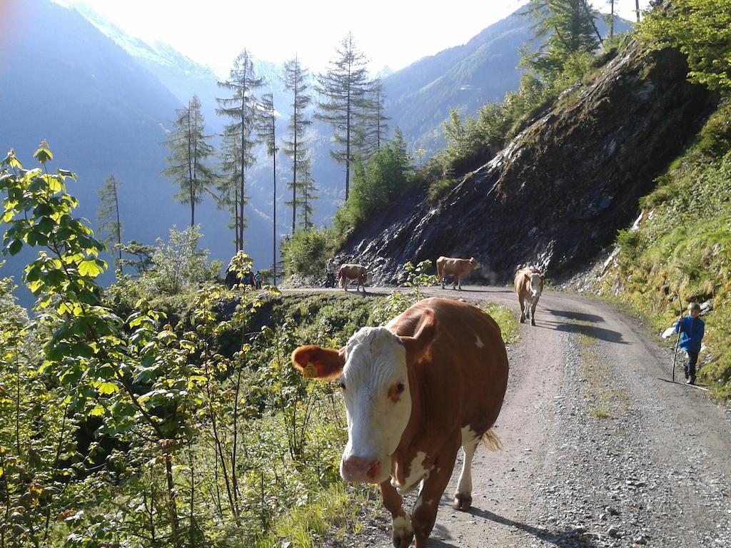 Feriendorf Ponyhof Fusch an der Großglocknerstraße Kültér fotó
